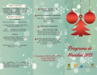 Programa navideño